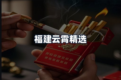 福建云霄精选